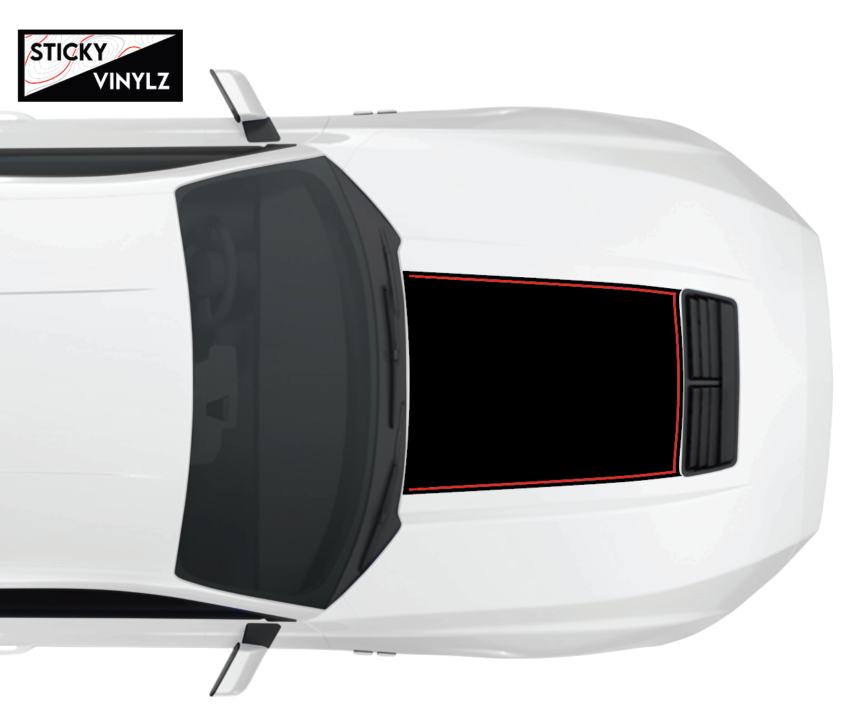 2024+ Mustang GT Hood Insert w/Color Accent
